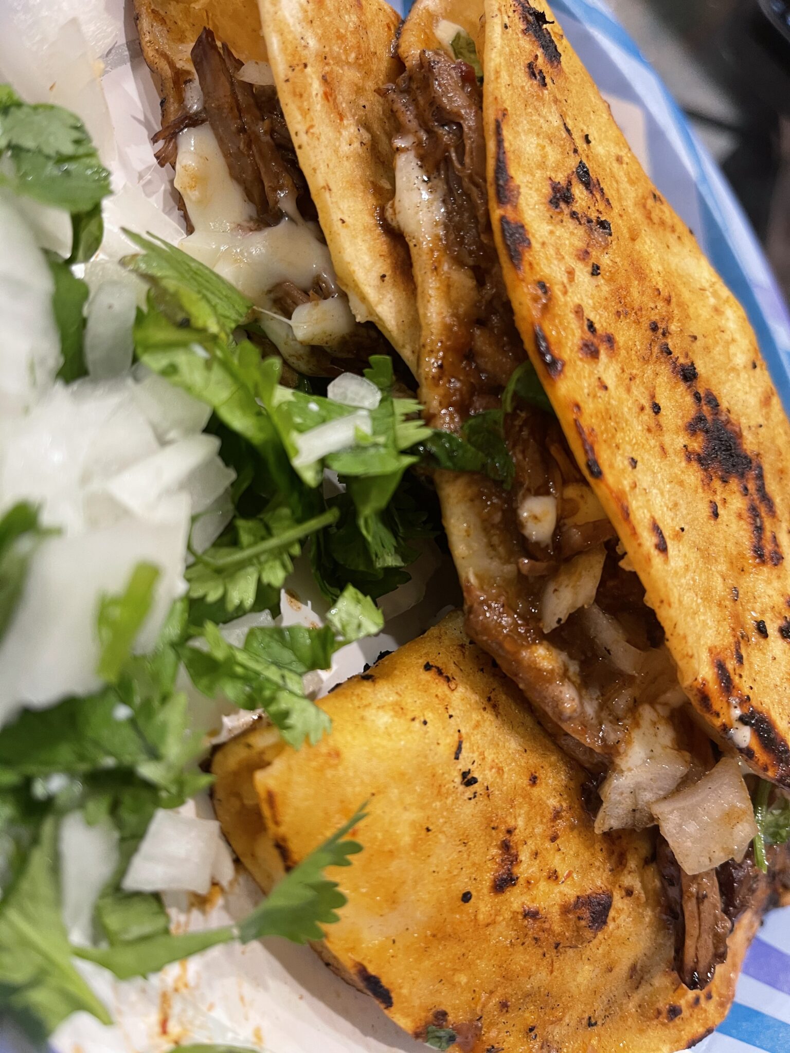 QUESABIRRIA TACOS SAVVE